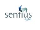 Sentius Strategy - Best Web Marketing Consultant logo